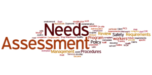 needs assessment websites