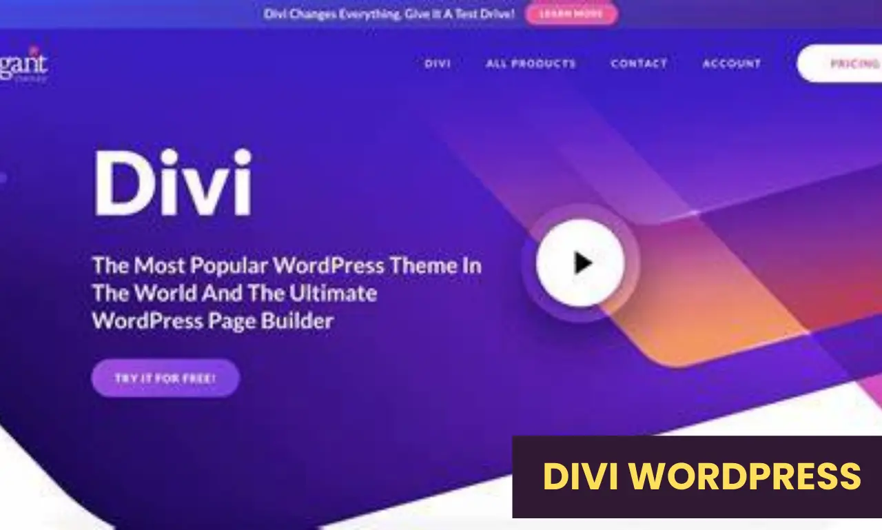 How Can You Simplify Your Design with Divi WordPress Builder
